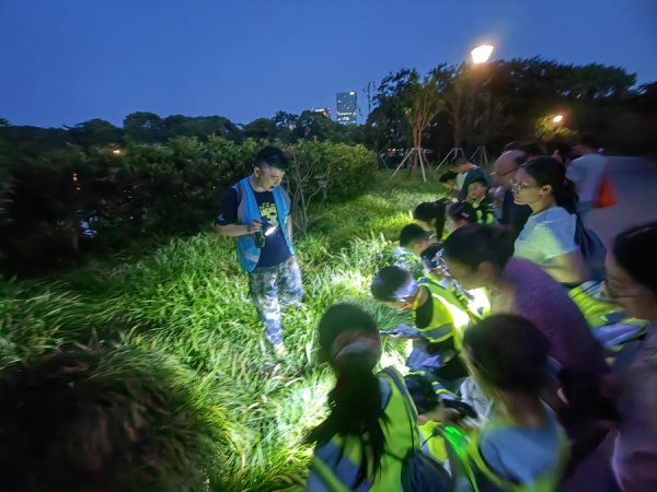 炒股配资网站就 有人“追”青蛙，有人“踩”荷花，夜游公园约一个？