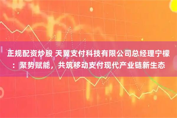 正规配资炒股 天翼支付科技有限公司总经理宁檬:聚势赋能,共筑移动支付现代产业链新生态