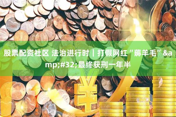 股票配资社区 法治进行时｜打假网红“薅羊毛” 最终获刑一年半
