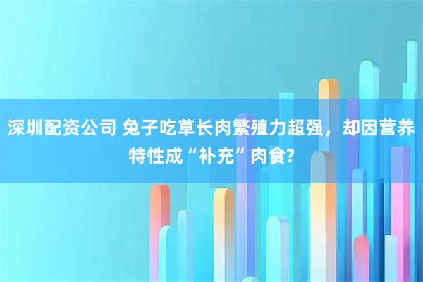 深圳配资公司 兔子吃草长肉繁殖力超强,却因营养特性成“补充”肉食?